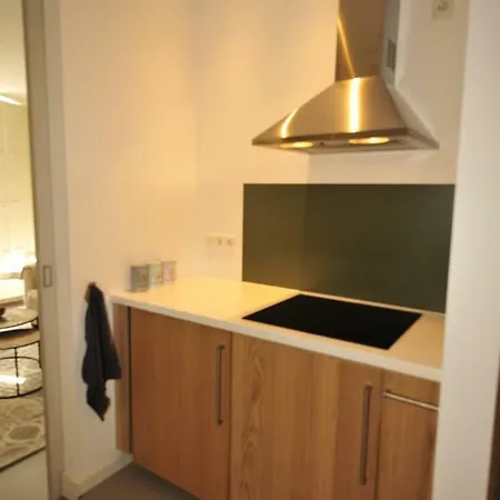 Appartementen In Historisch Centrum * זאלטבומל