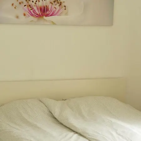 Appartementen In Historisch Centrum דירה זאלטבומל