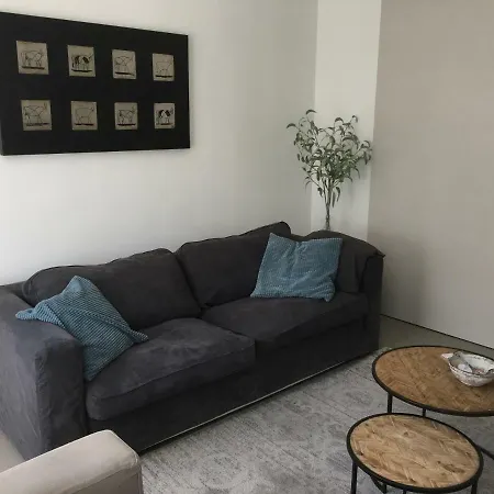 Appartementen In Historisch Centrum * זאלטבומל